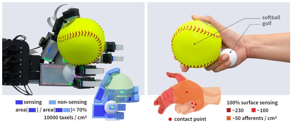 Teaser for Embedding high-resolution touch across robotic hands enables adaptive human-like grasping